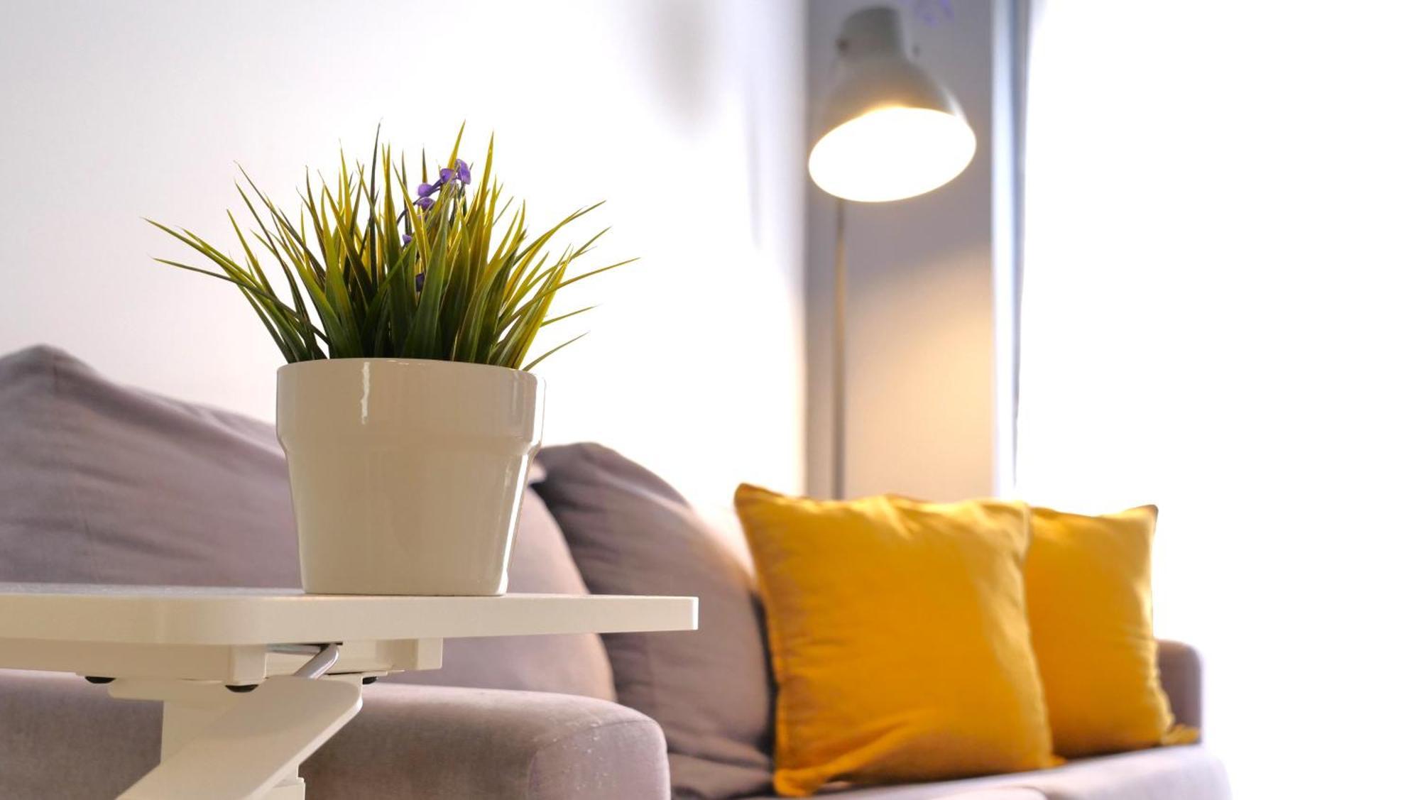 Myflats Old Corner Apartment อาลิกันเต ภายนอก รูปภาพ